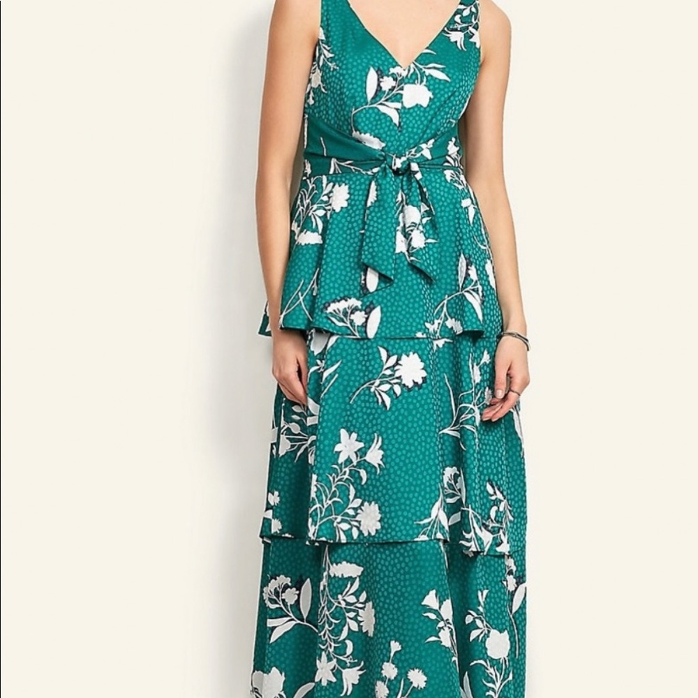 Ann Taylor Size 10 Green and White Floral Gown